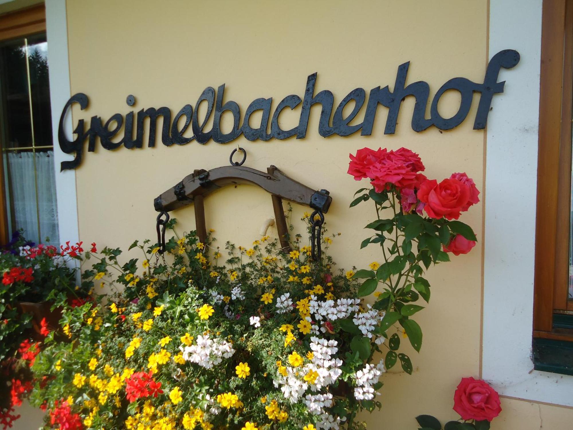 Pension-Greimelbacherhof Ramsau am Dachstein Exterior photo