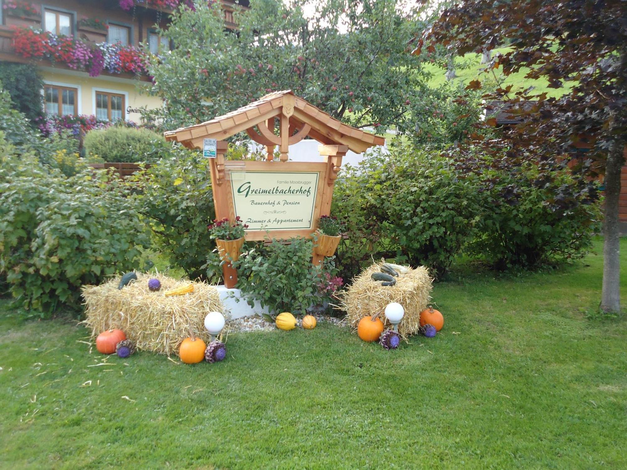 Pension-Greimelbacherhof Ramsau am Dachstein Exterior photo