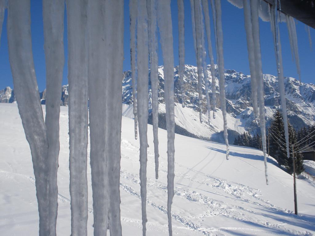 Pension-Greimelbacherhof Ramsau am Dachstein Exterior photo